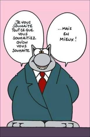 voeux_chat.jpeg