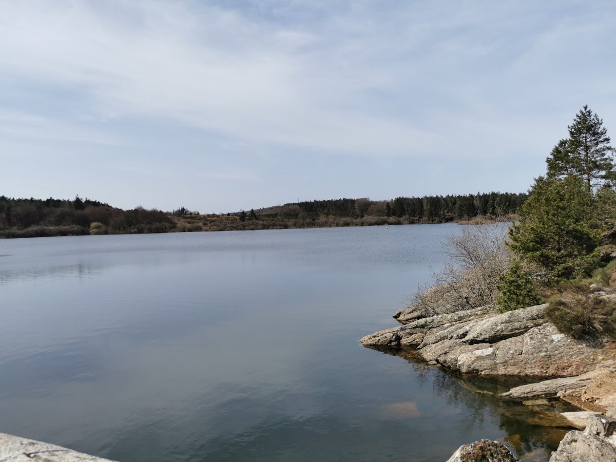 IMG_20230329_162616.jpg