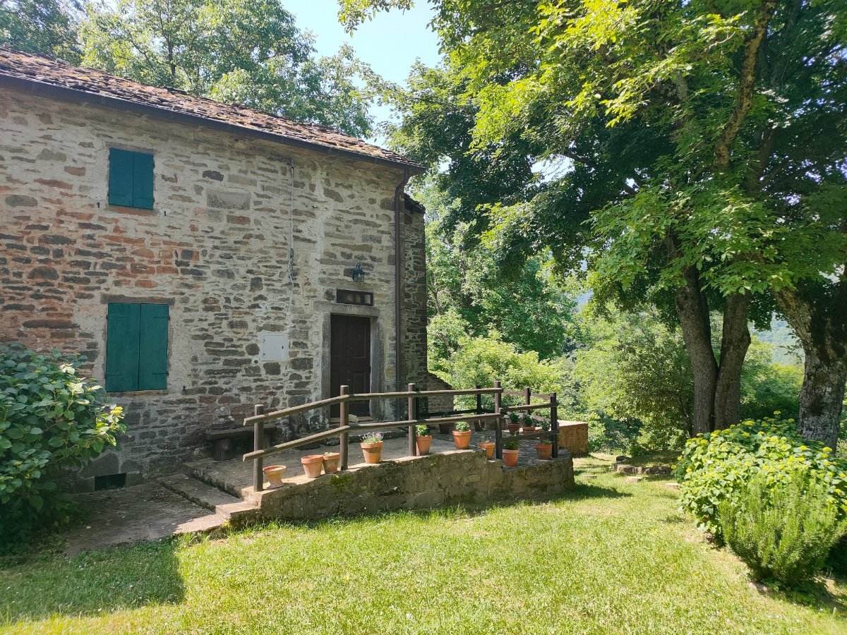 IMG20250616111753.jpg