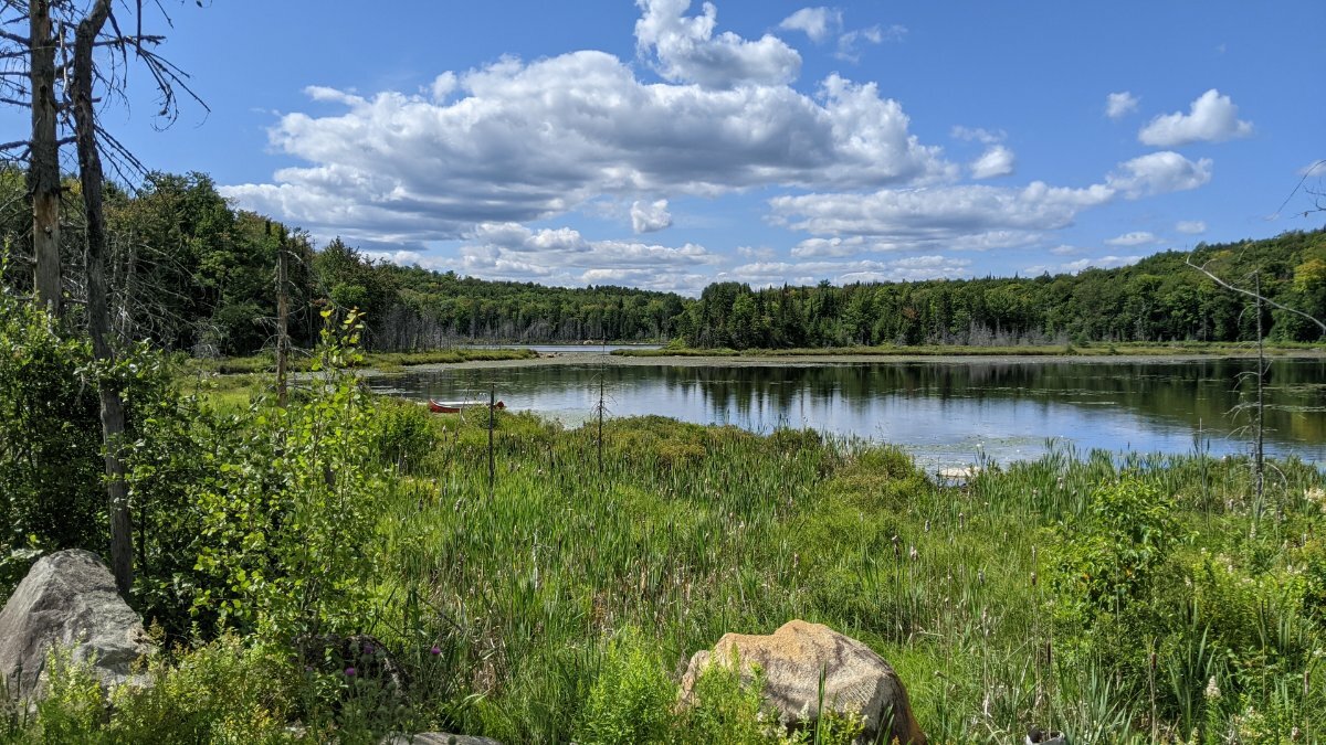 Rawdon.jpg