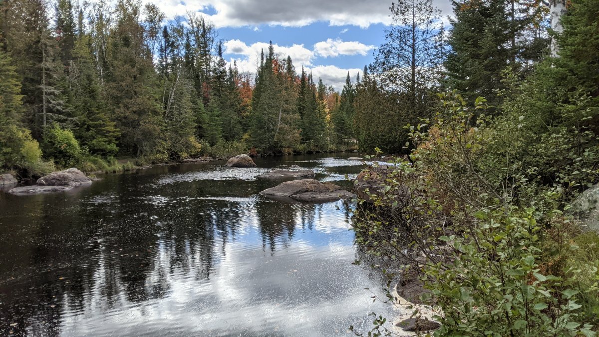 PXL_20211001_172510056.jpg